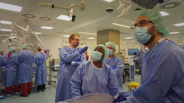 b7061e83-8f6b-46b5-ab22-18e8aea10225